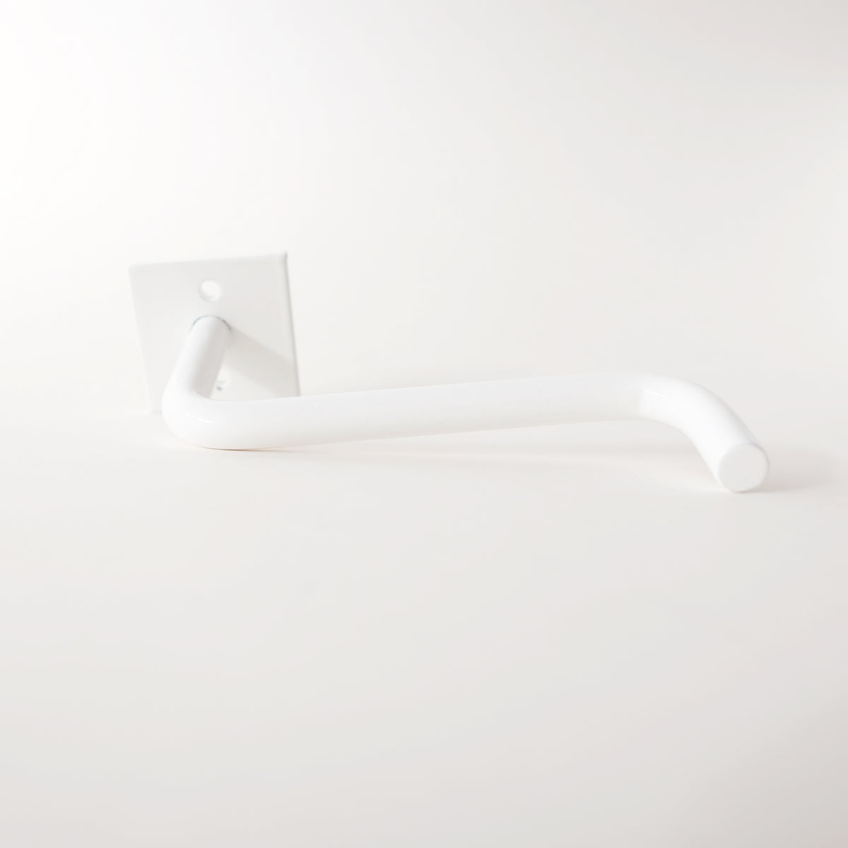 Powder Coated Toilet Paper Holder – Garza Marfa