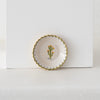 Mary Aldrich Tiny Cactus Plate