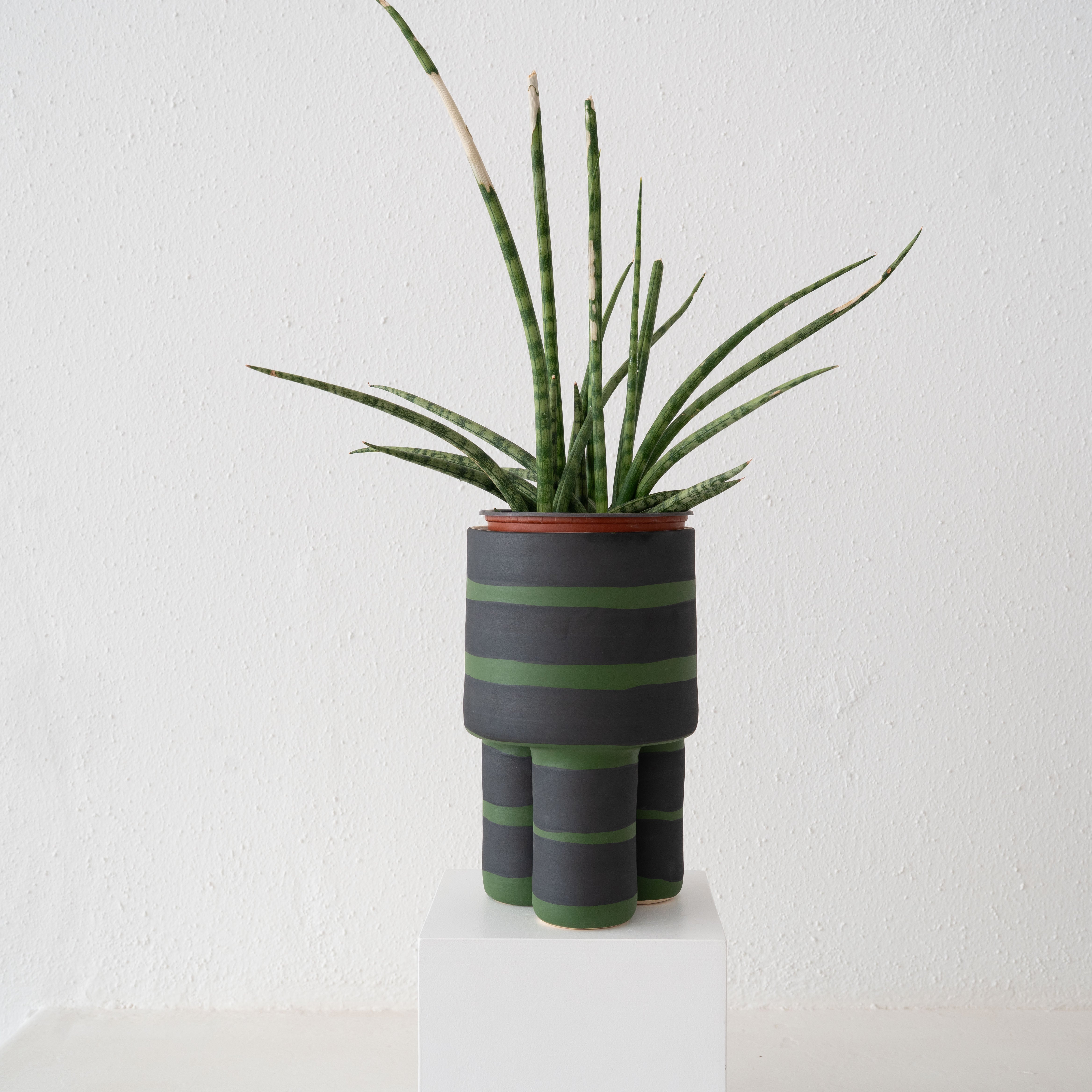 Garza Marfa Workaday Milking Planter - Thumbnail 3