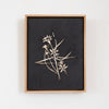 Meghan Gerety "Street Weeds (small 01)", 2025