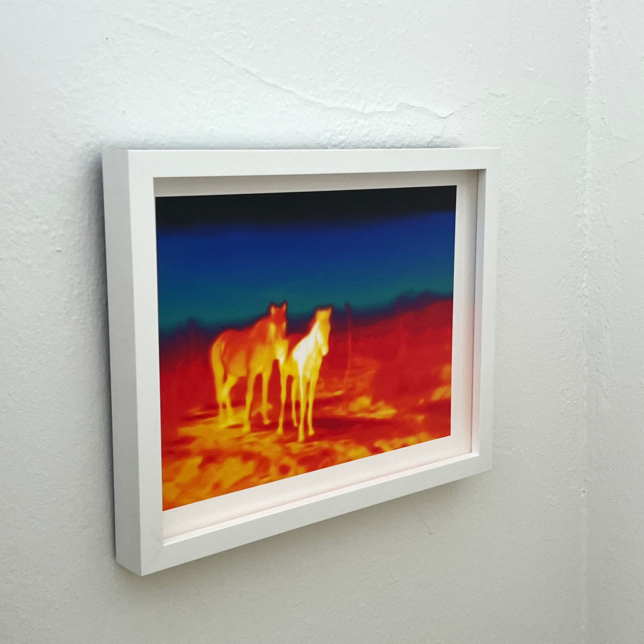 Nina Dietzel Borderlands (2024) Photograph - Horses