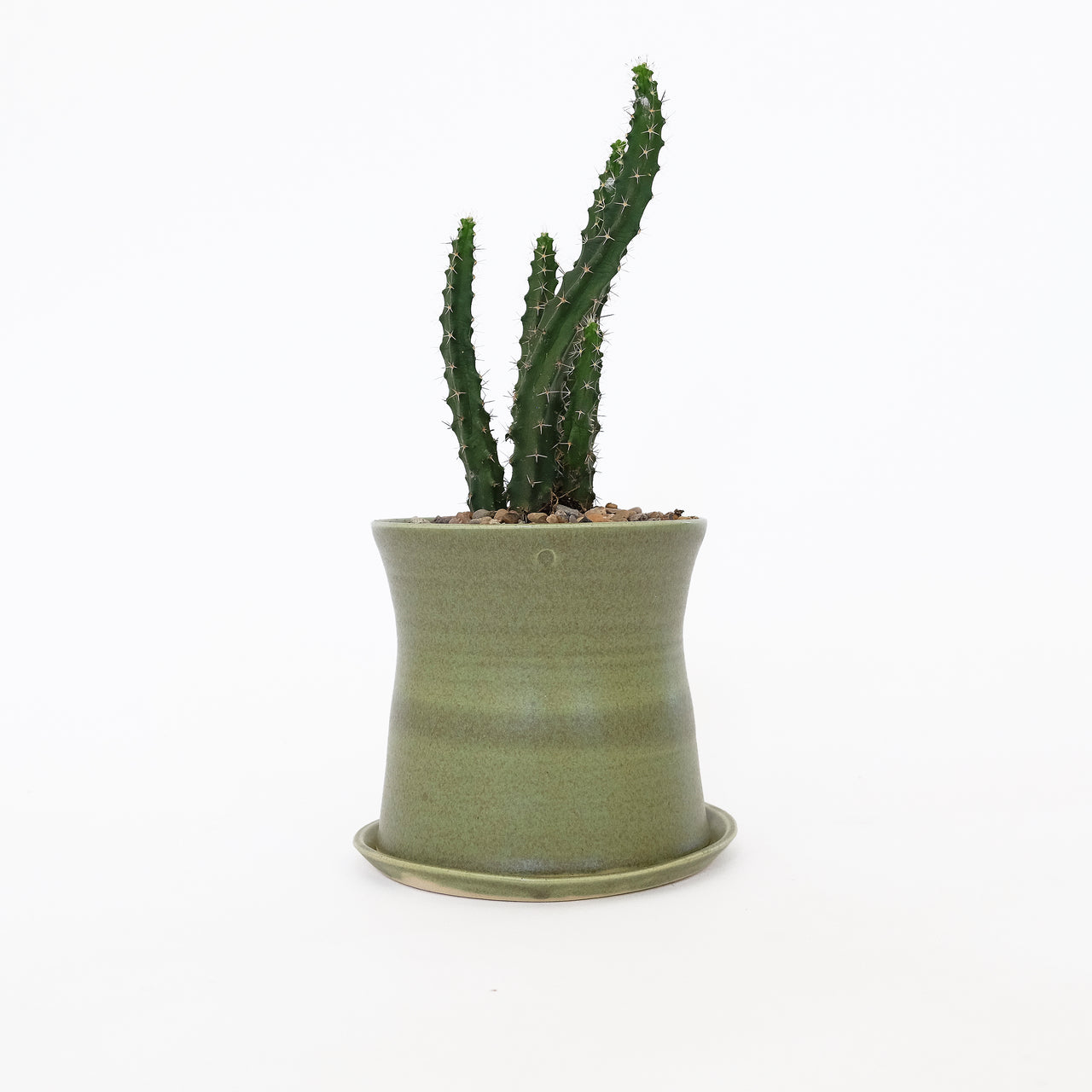 Eric Bonnin Large Planter and Plate