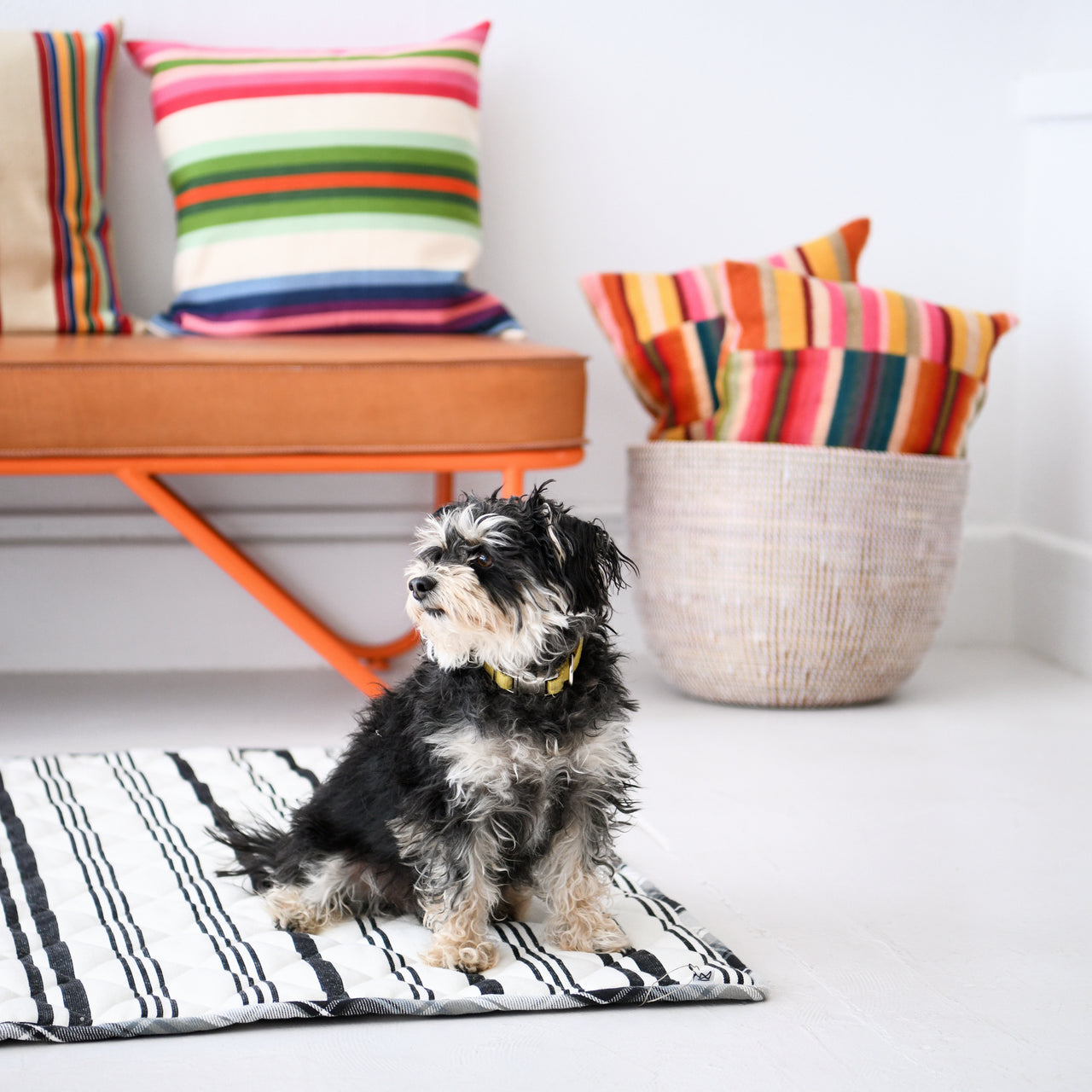 Garza Marfa Pet Quilt - Cream + Charcoal Stripe
